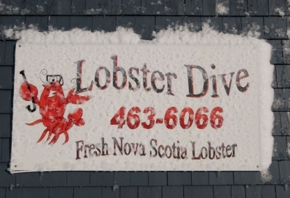 Lobster for Sale