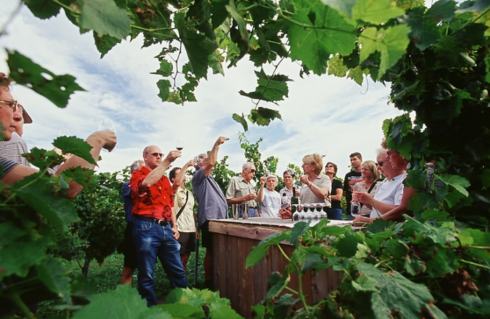 Wine Tasting Niagara