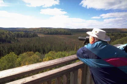 Algonquin National Park, Ontario