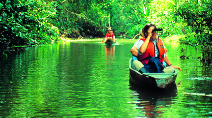 The Amazon River