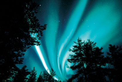 Aurora