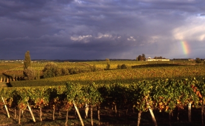 Image courtesy of Bordeaux Wine Council