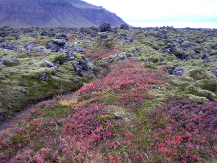 landscape from 66 North, Iceland