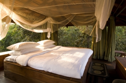 Baghvan Lodge