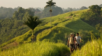 Morning walk, Uma Ubud