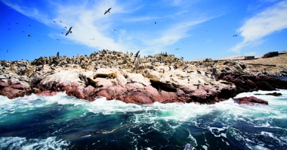 Ballestas Islands