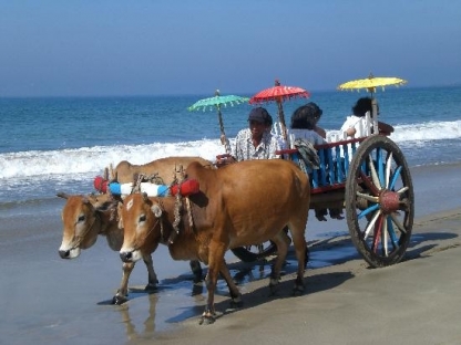 Palm Beach Resort