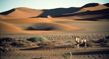 Sossusvlei