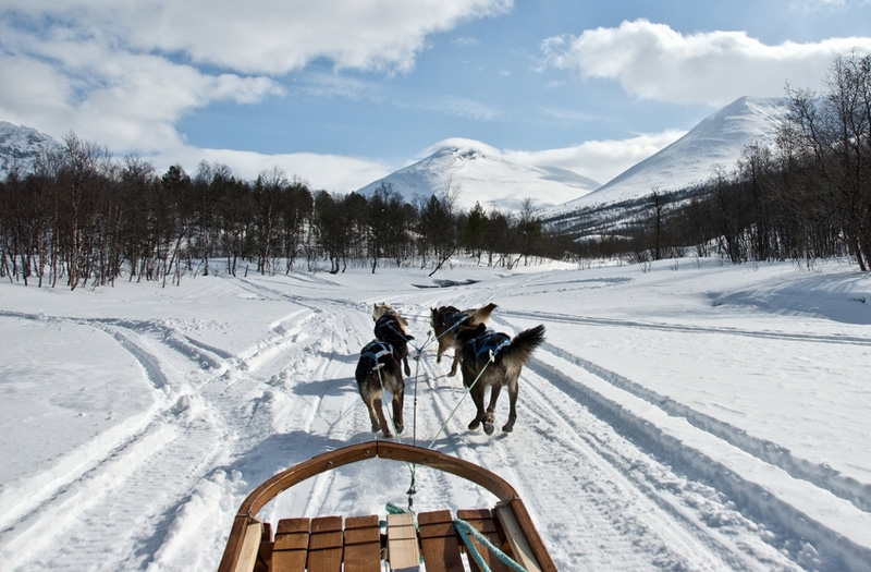 Dogsled, Troms