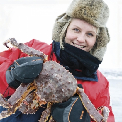 King crab safari