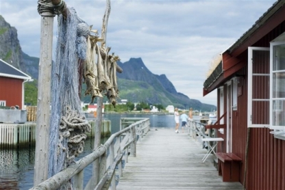 Lofoten Islands