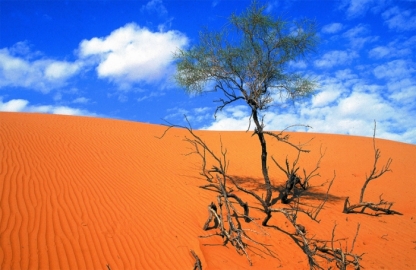 Wahiba Sands