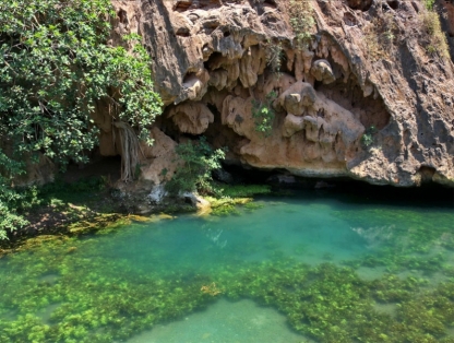 Dhofar spring
