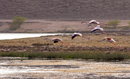 Khor Roro lagoon