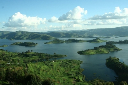 Parc National Des Volcans, Rwanda