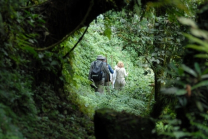 Trekking in the forest
