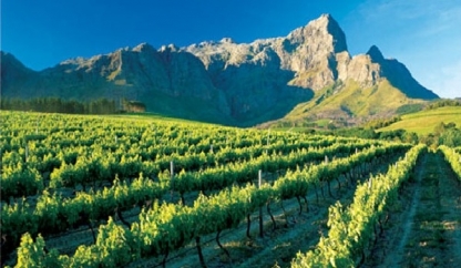 The Winelands, South Africa