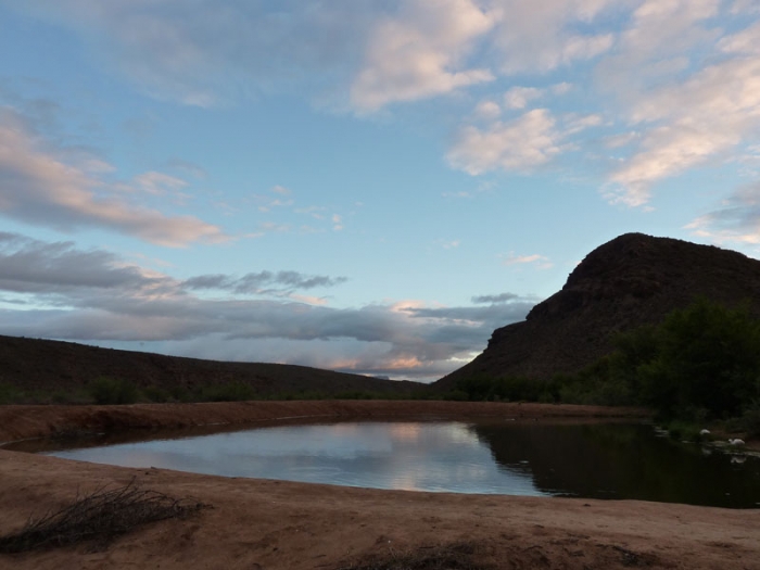 Sanbona Wildlife Reserve