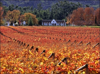 Cape Winelands