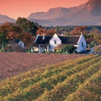 The Winelands