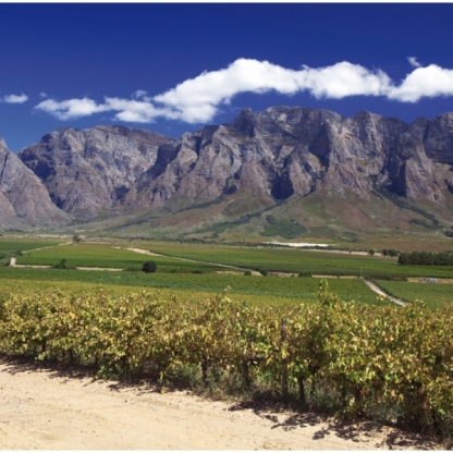 Cape Winelands