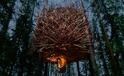 Treehotel - Birds Nest