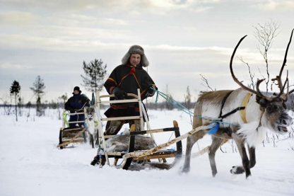 Reindeer Safari