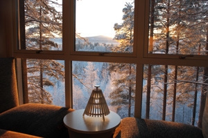 View from The Cabin, Treehotel