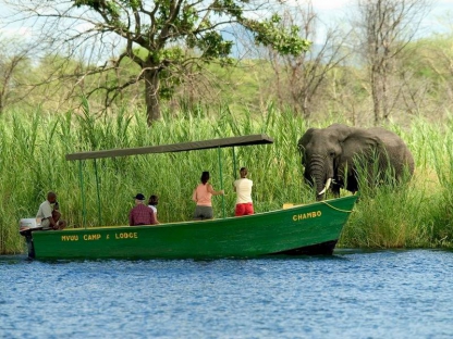 Boat safari