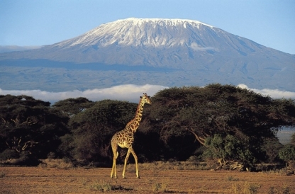 Amboseli National Park