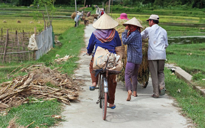 Mai Chau Mai Chau