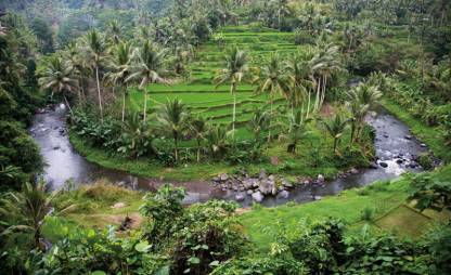 Best of Bali, Indonesia 
