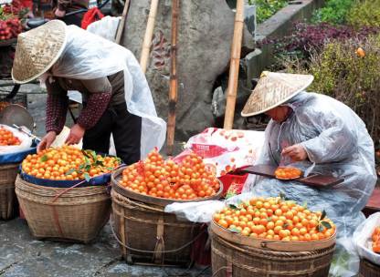 Orange sellers in Yangshuo