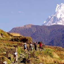 Trekking In The Foothills