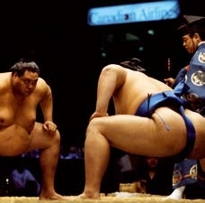 Sumo Wrestling