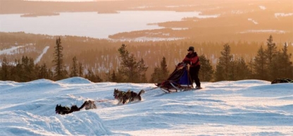 Husky Safari