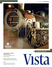 Vista Autumn 2008