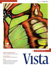 Vista Spring 2009