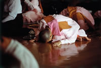 Best of Burma 