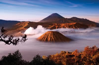 Best of Java, Indonesia