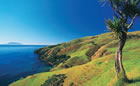 Auckland & The Bay Of Islands Self-drive
